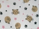 Gatinho Chocolate